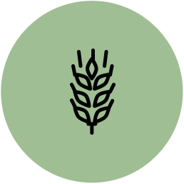Oat drink token