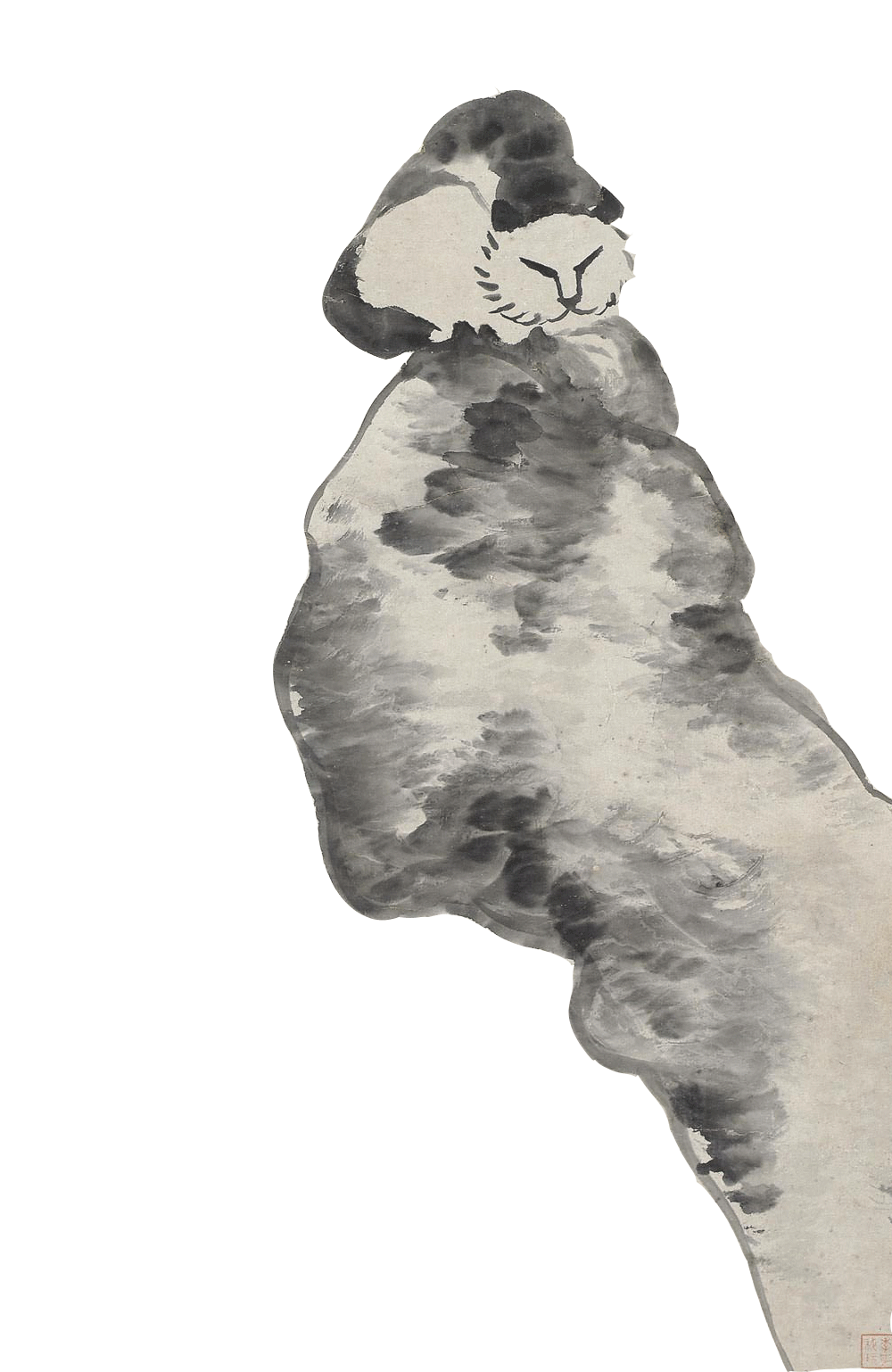 Animated cat drawing