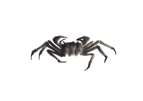 Animated crab drawing