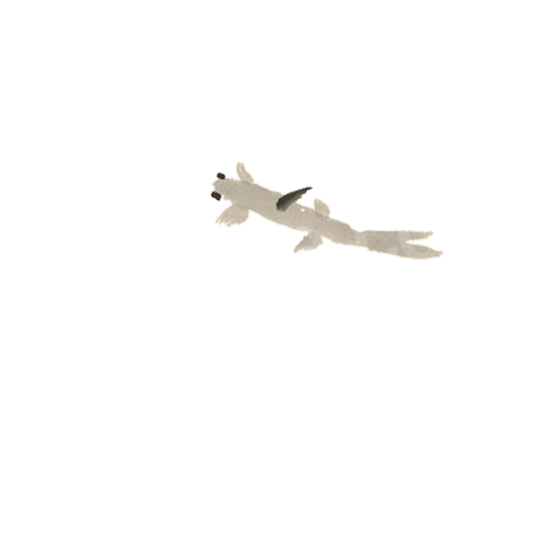 Animated fish drawing