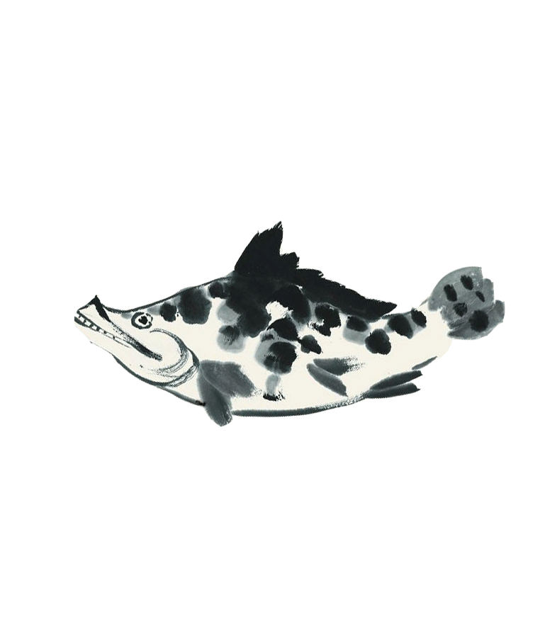 Animated fish drawing