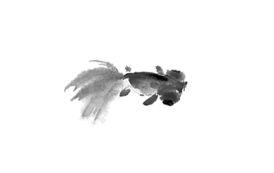 Animated fish drawing