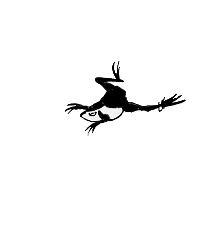Animated frog drawing
