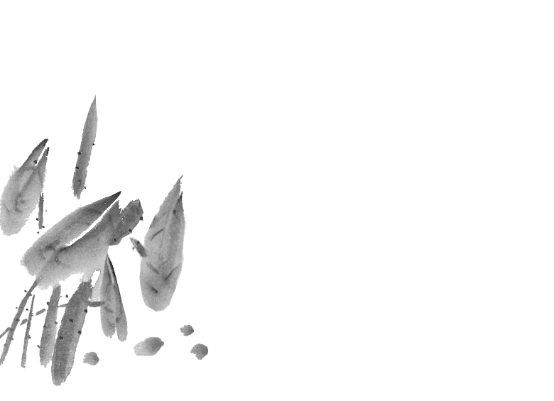 Animated grass drawing