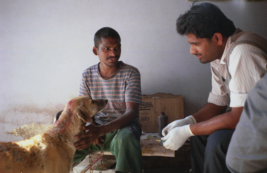 Animal farm volunteer life in Pune, India, photograph 11