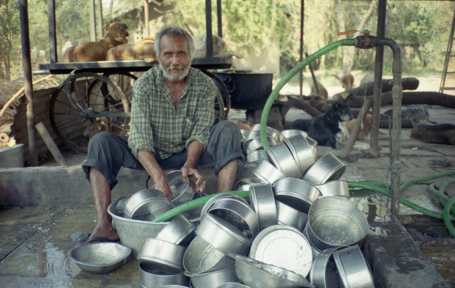 Animal farm volunteer life in Pune, India, photograph 5