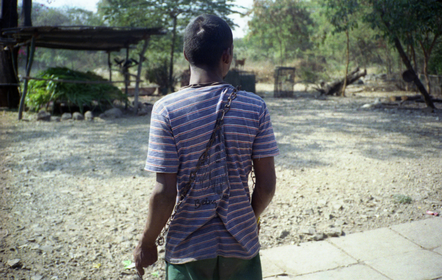 Animal farm volunteer life in Pune, India, photograph 6