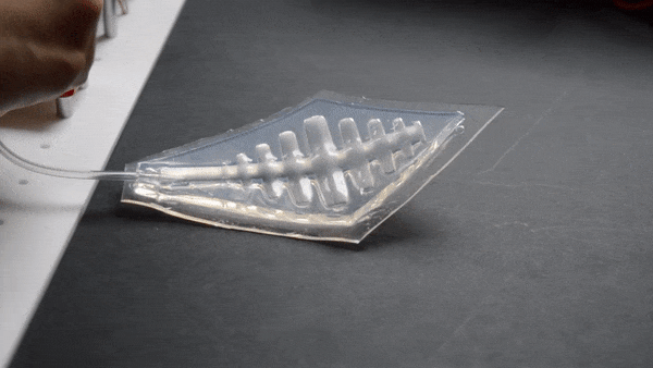 Soft robot motion