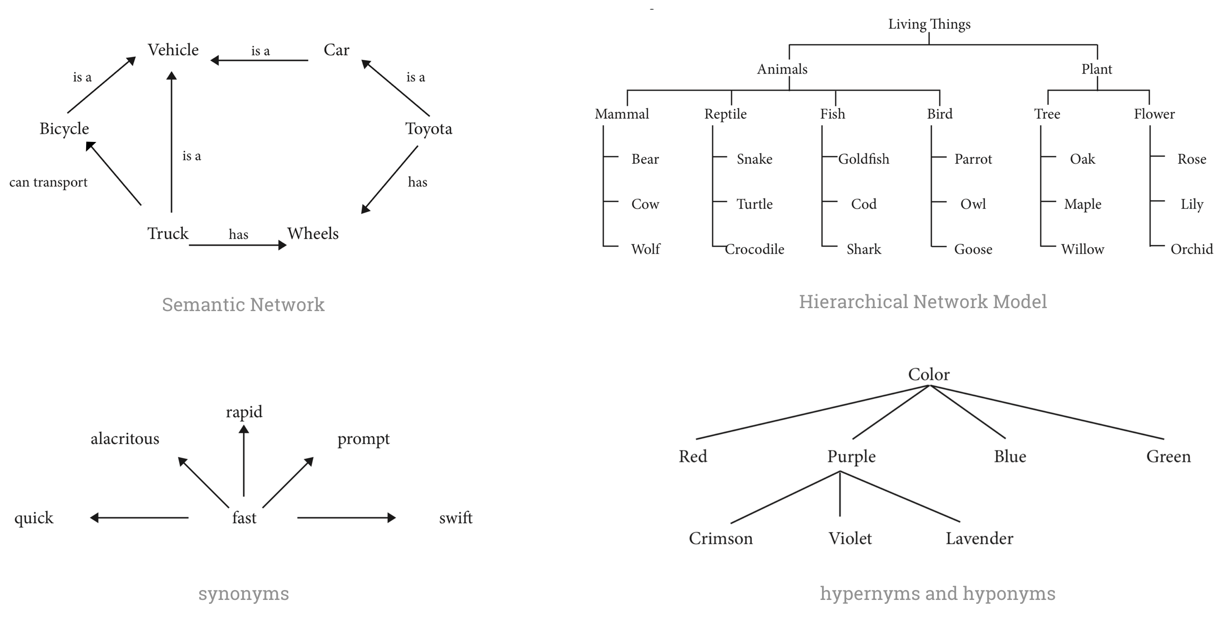 Semantic model diagram